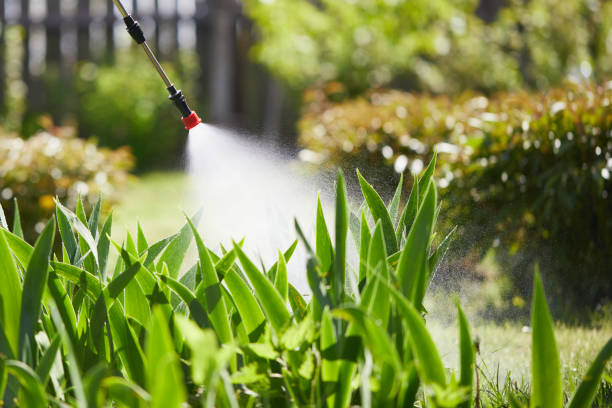 24/7 Emergency Ant Control experts in Jonesboro, GA